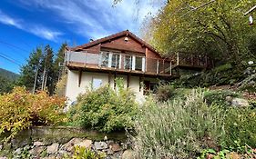 Chalet Des Roches - Plainfaing